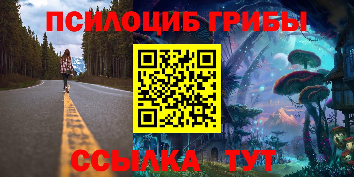 Волгоград  Псилоцибиновые грибы Psilocybine cubensis  Псилоцибиновые грибы Psilocybine cubensis  Вход с VPN 